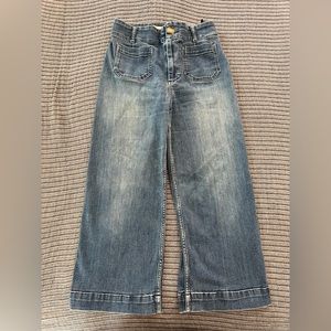 Anthropologie PILCRO wide-leg jeans 
Size 28 petite